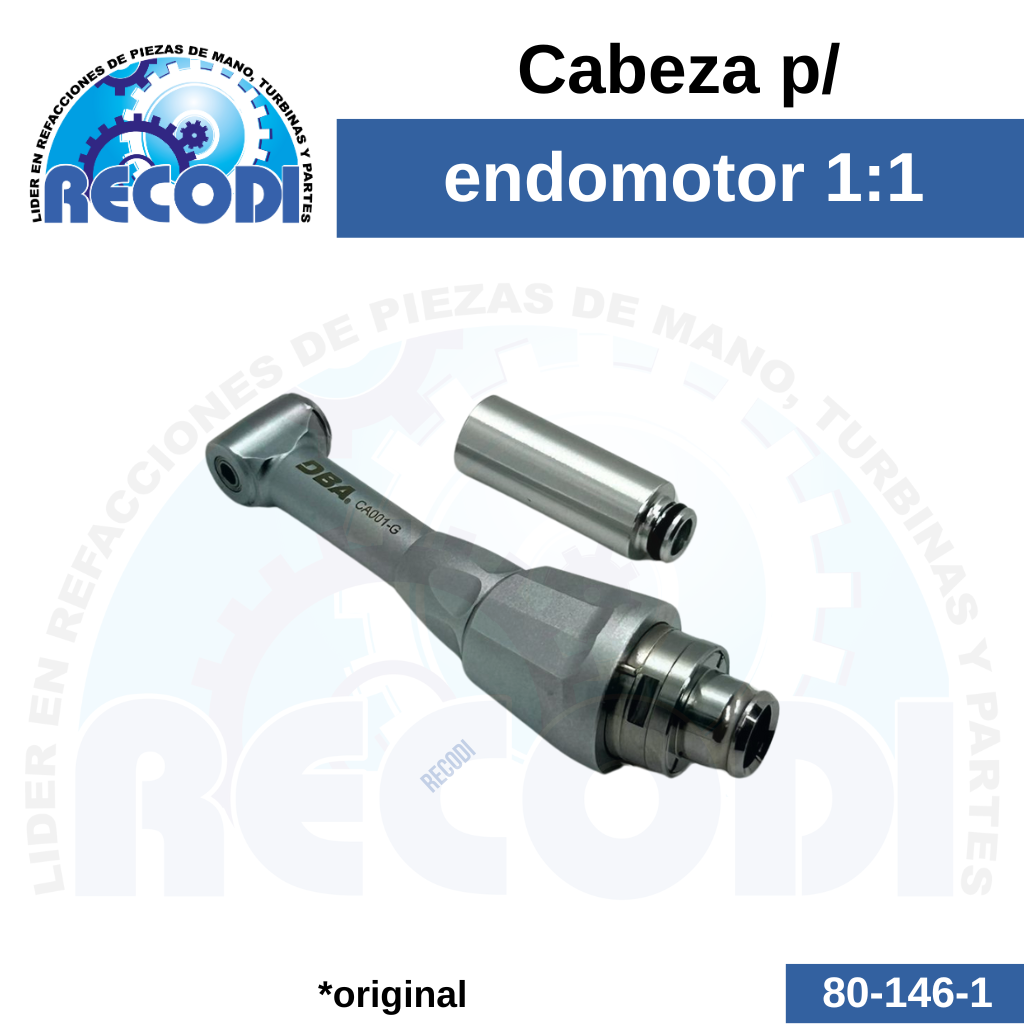 Cabeza endo 1:1