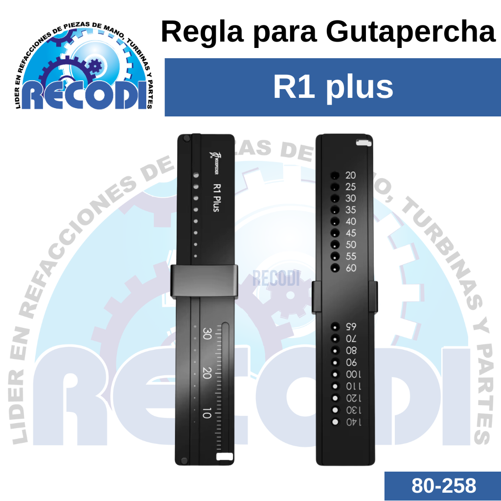 Regla R1 Gutapercha