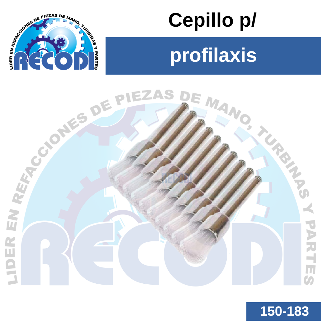 Cepillo c/10pz