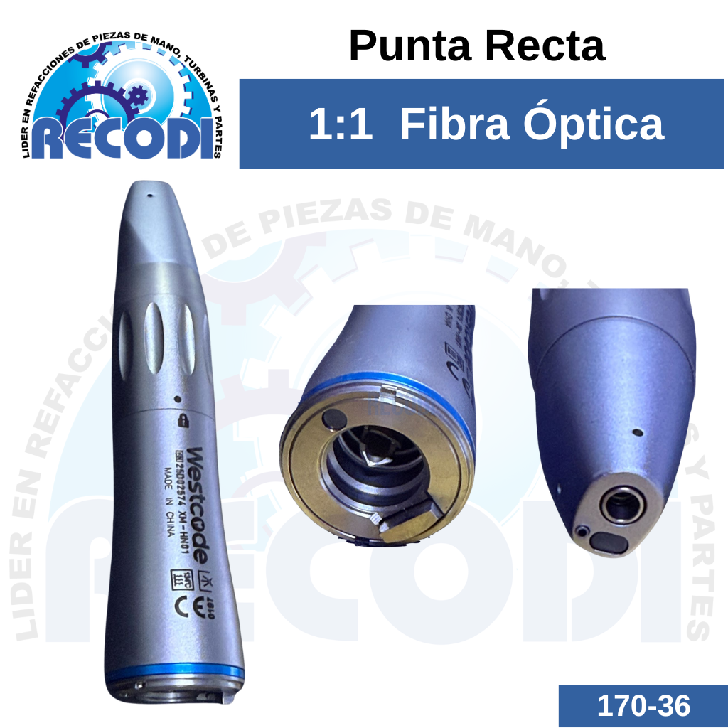 Punta Recta tipo e