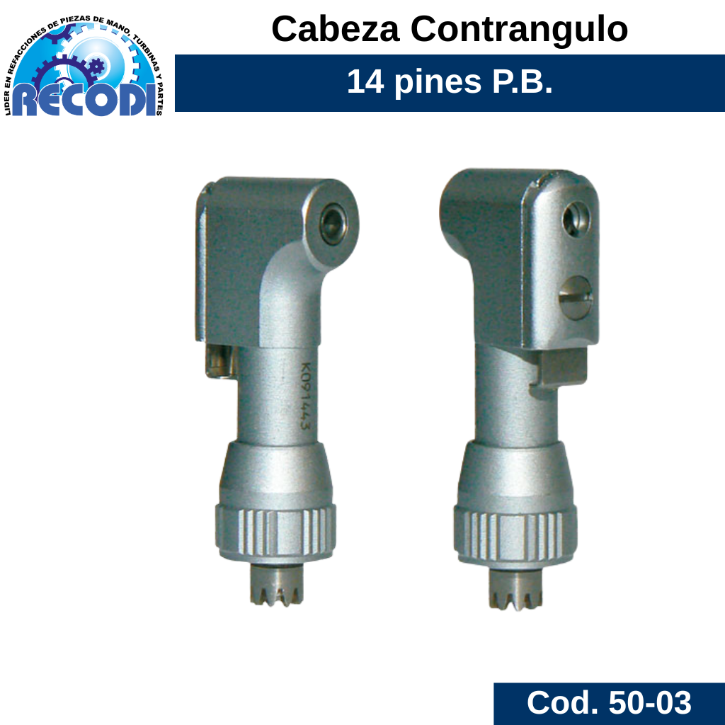 Cabeza contrangulo
