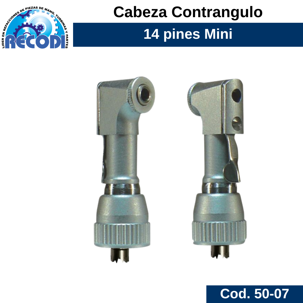 Cabeza contrangulo