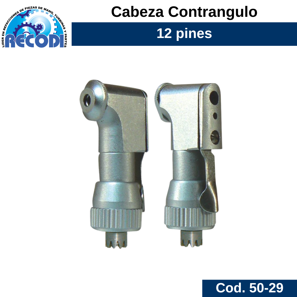 Cabeza contrangulo