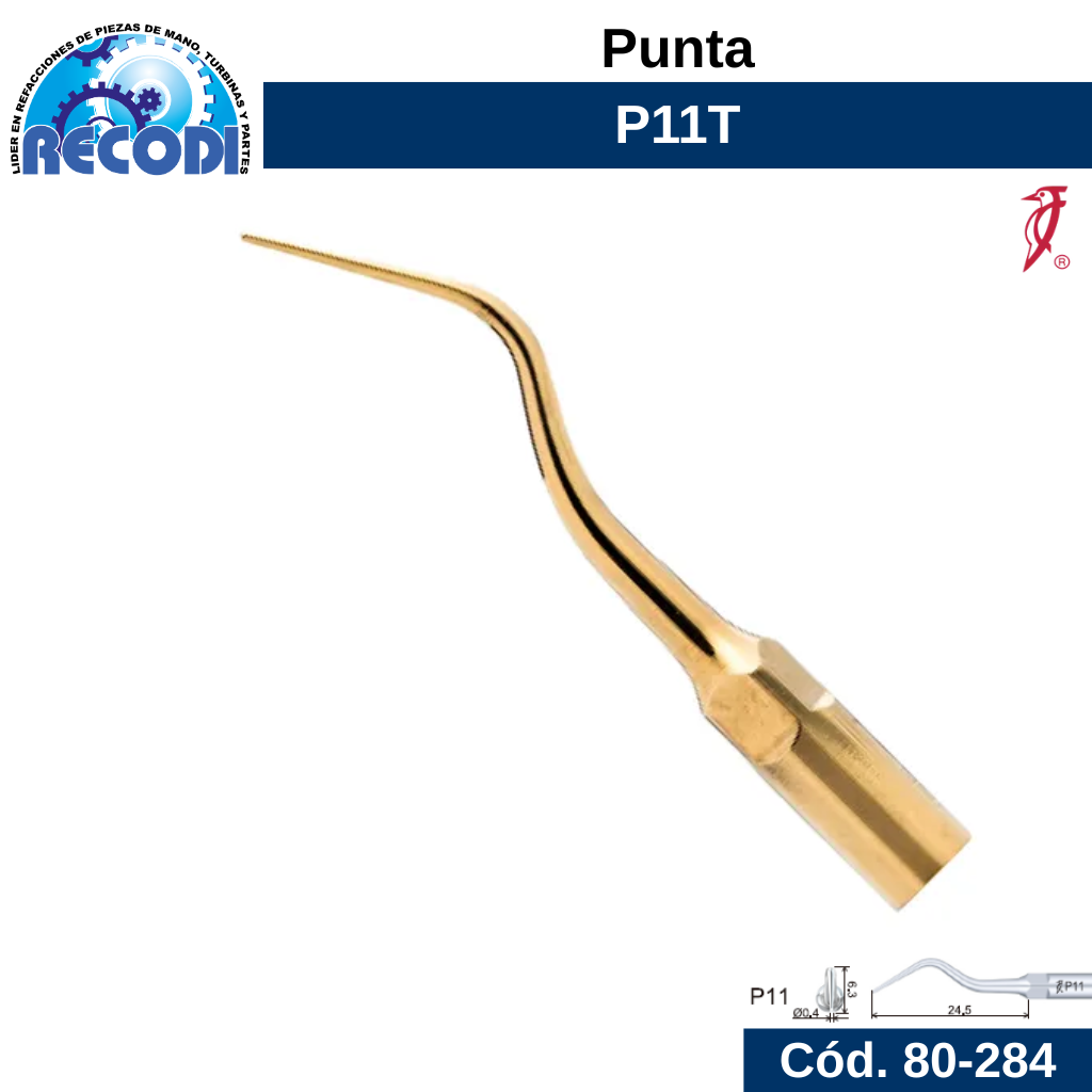 Punta P11T