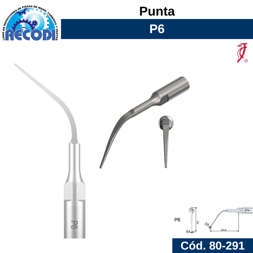 Punta P6