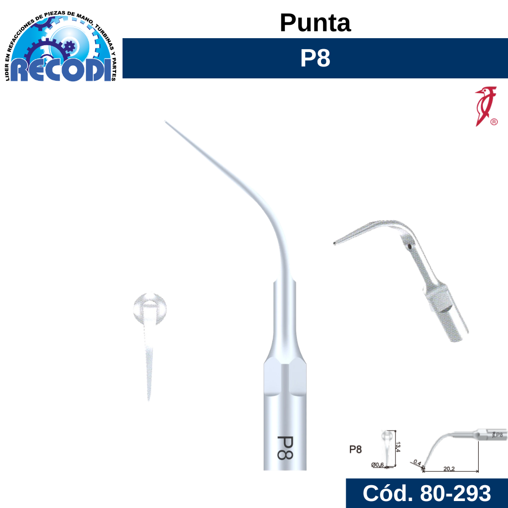 Punta P8