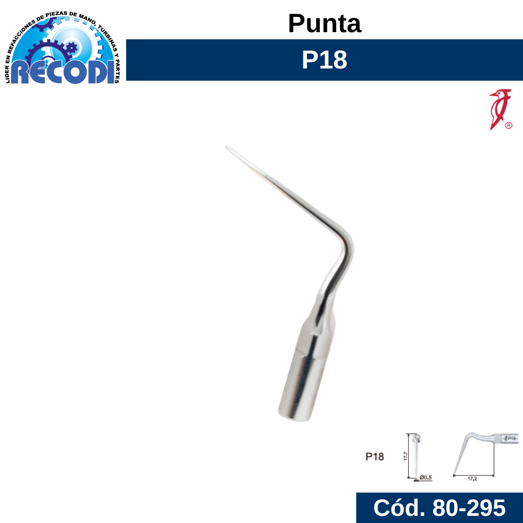 Punta P18