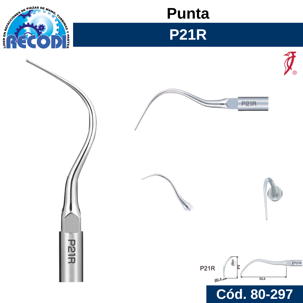 Punta P21R