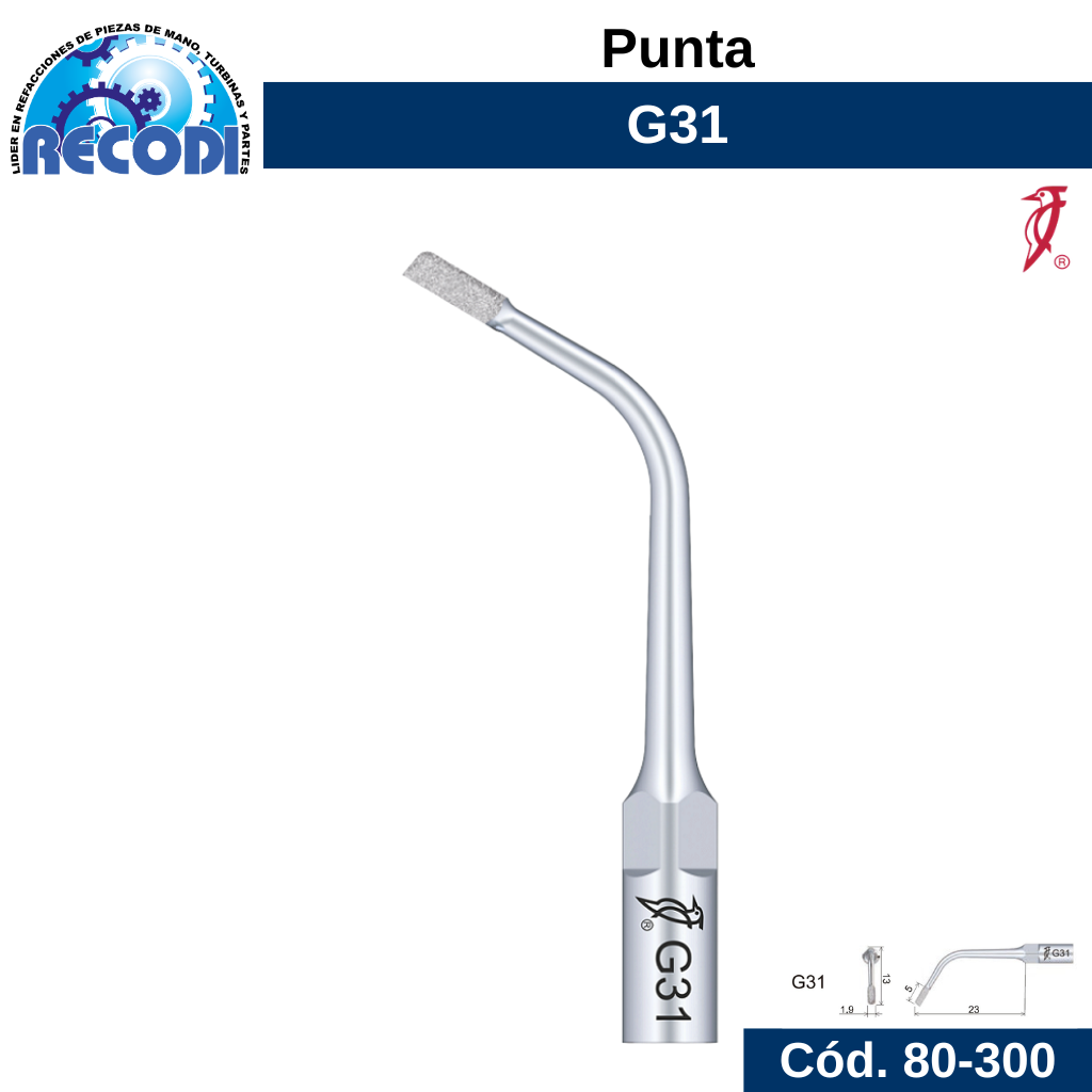 Punta G31
