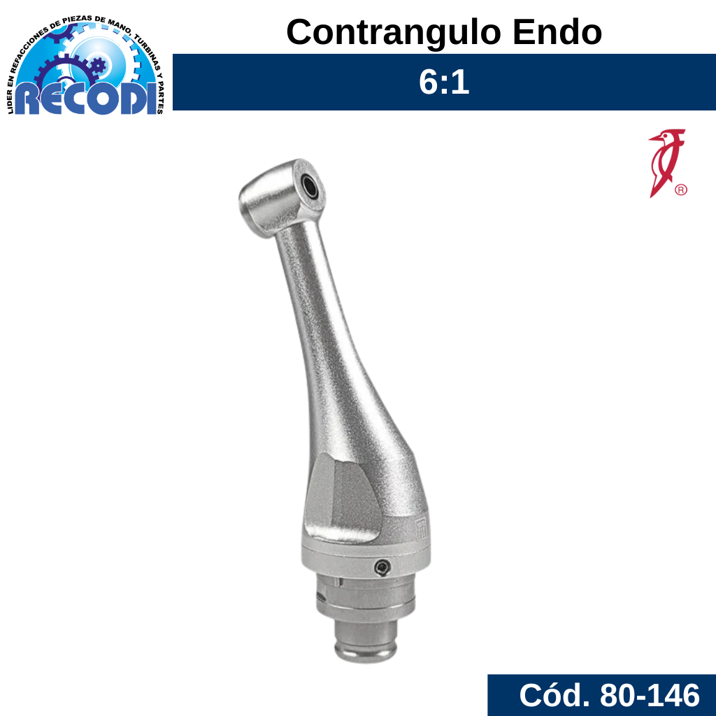 Cabeza endo 6:1