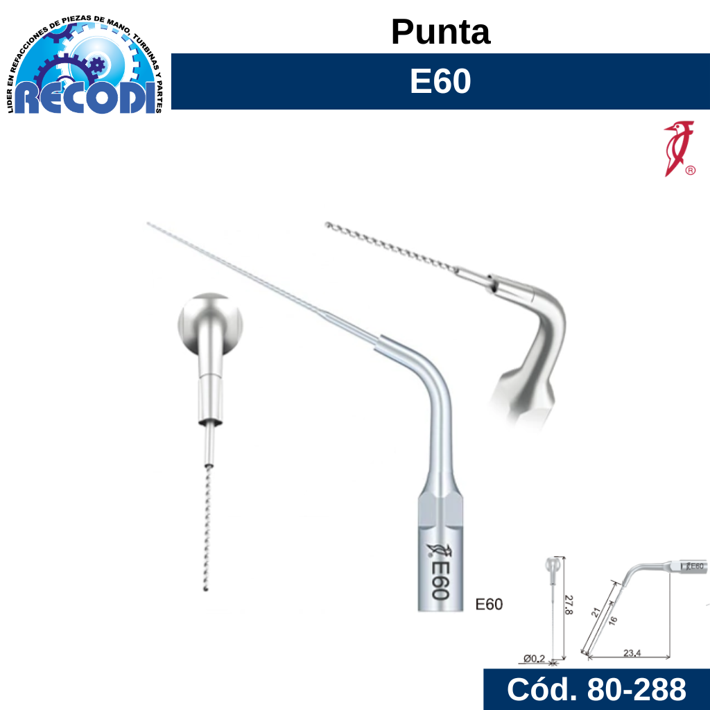 Punta E60