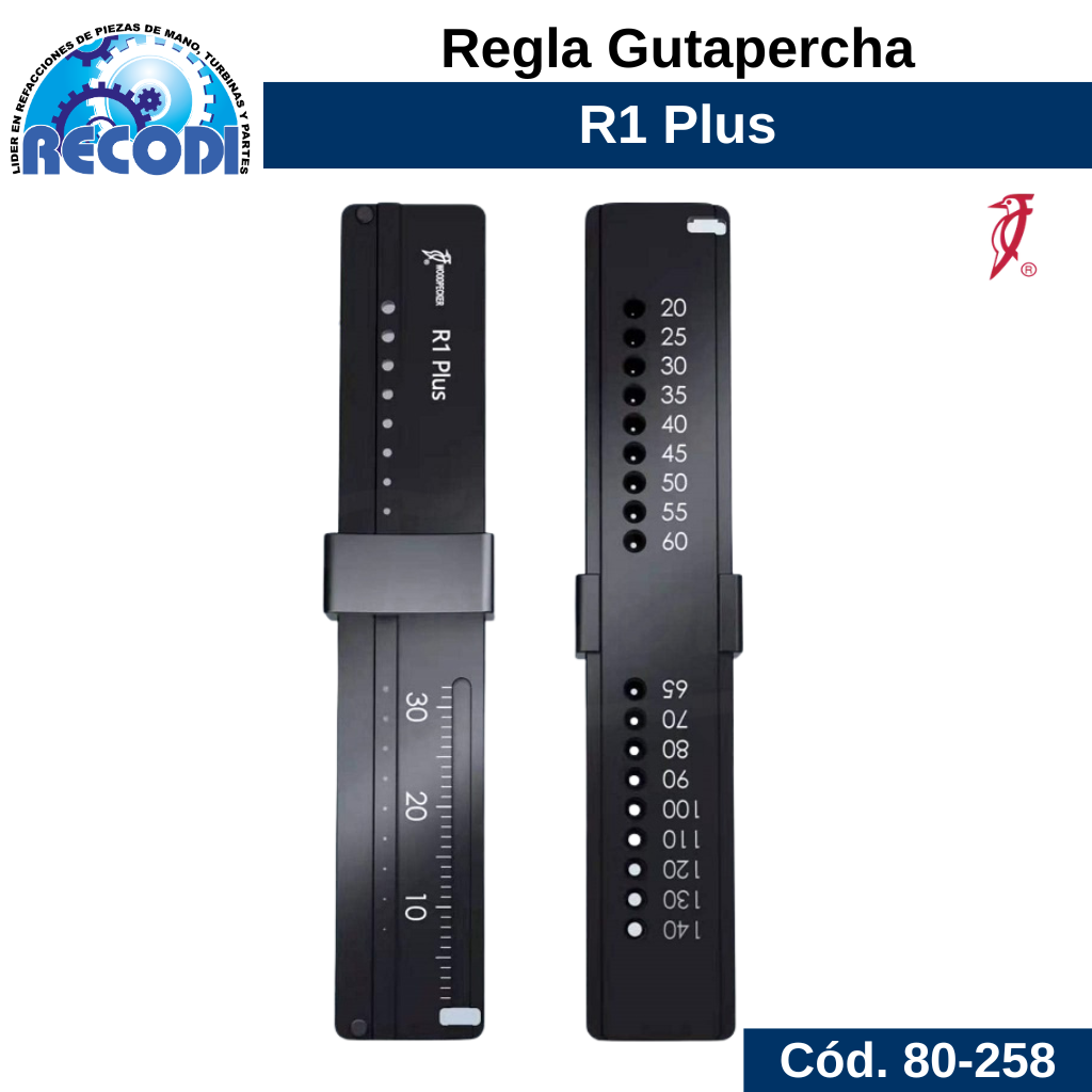 Regla R1 Gutapercha