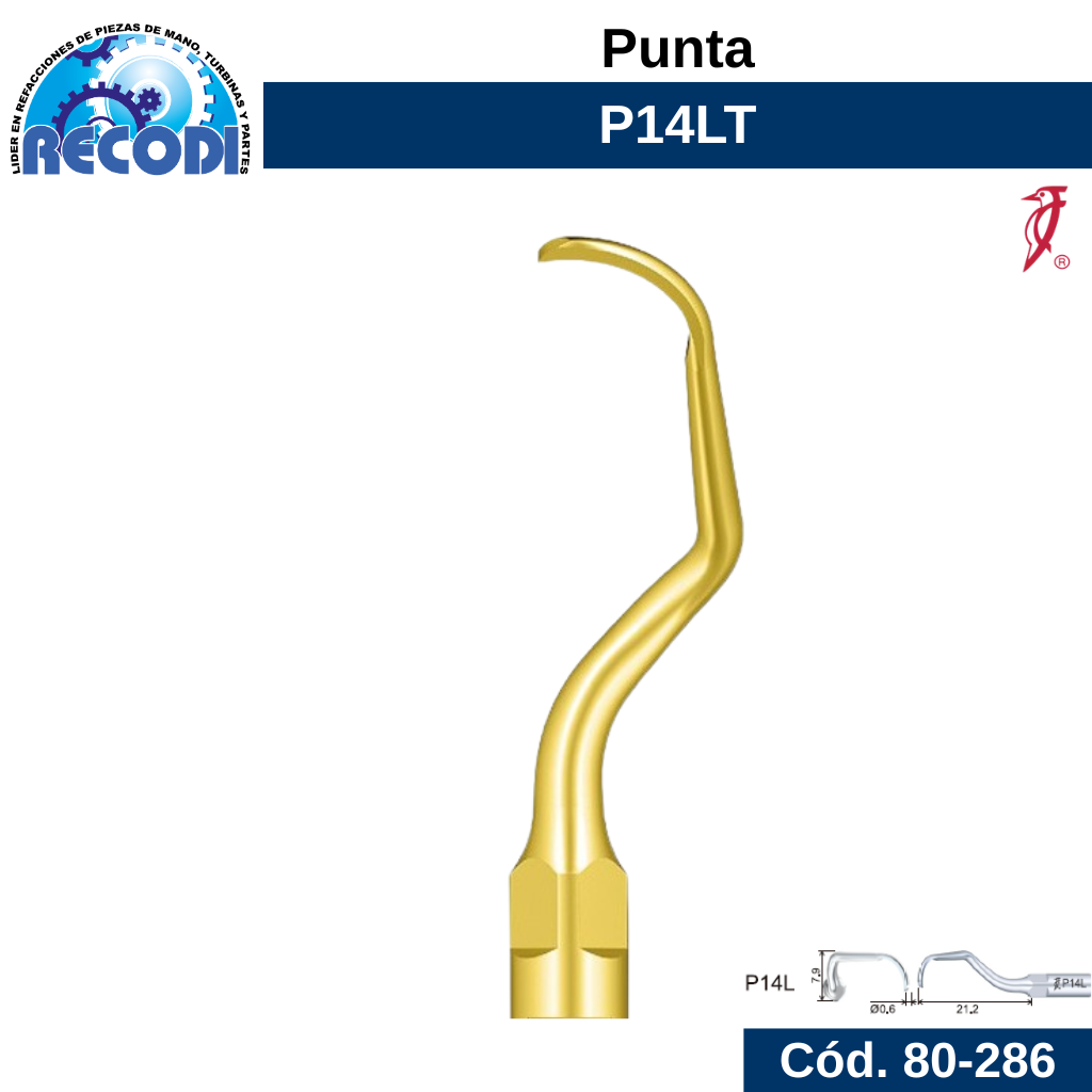 Punta P14LT