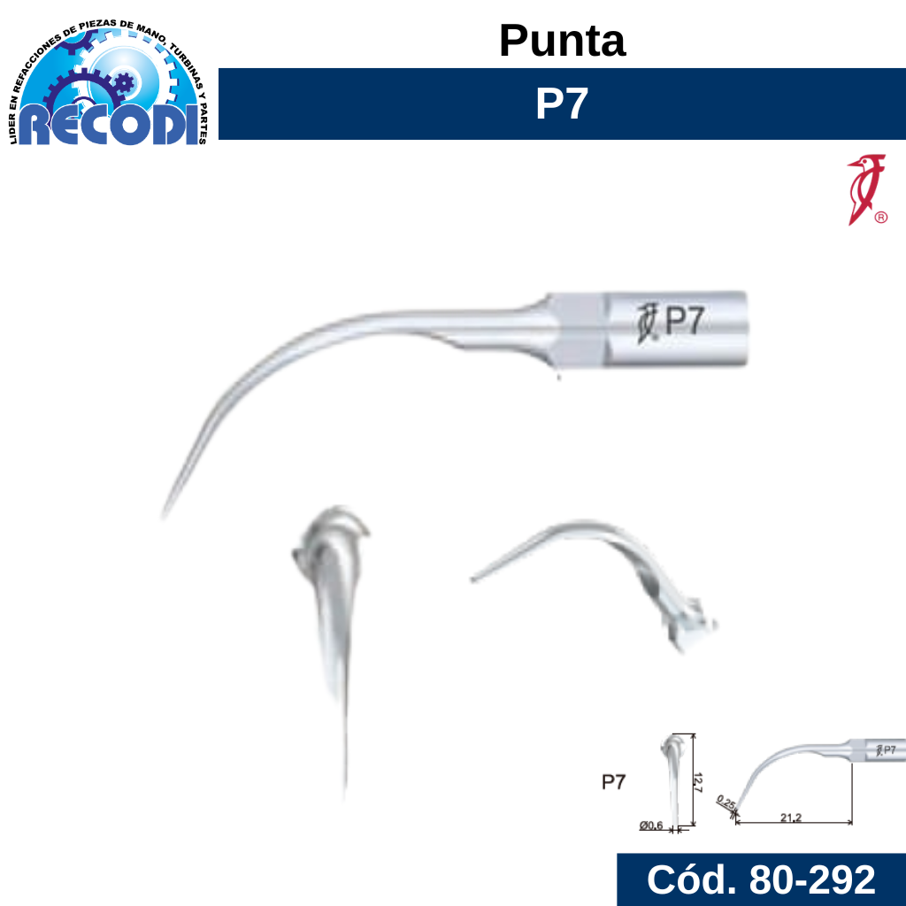 Punta P7