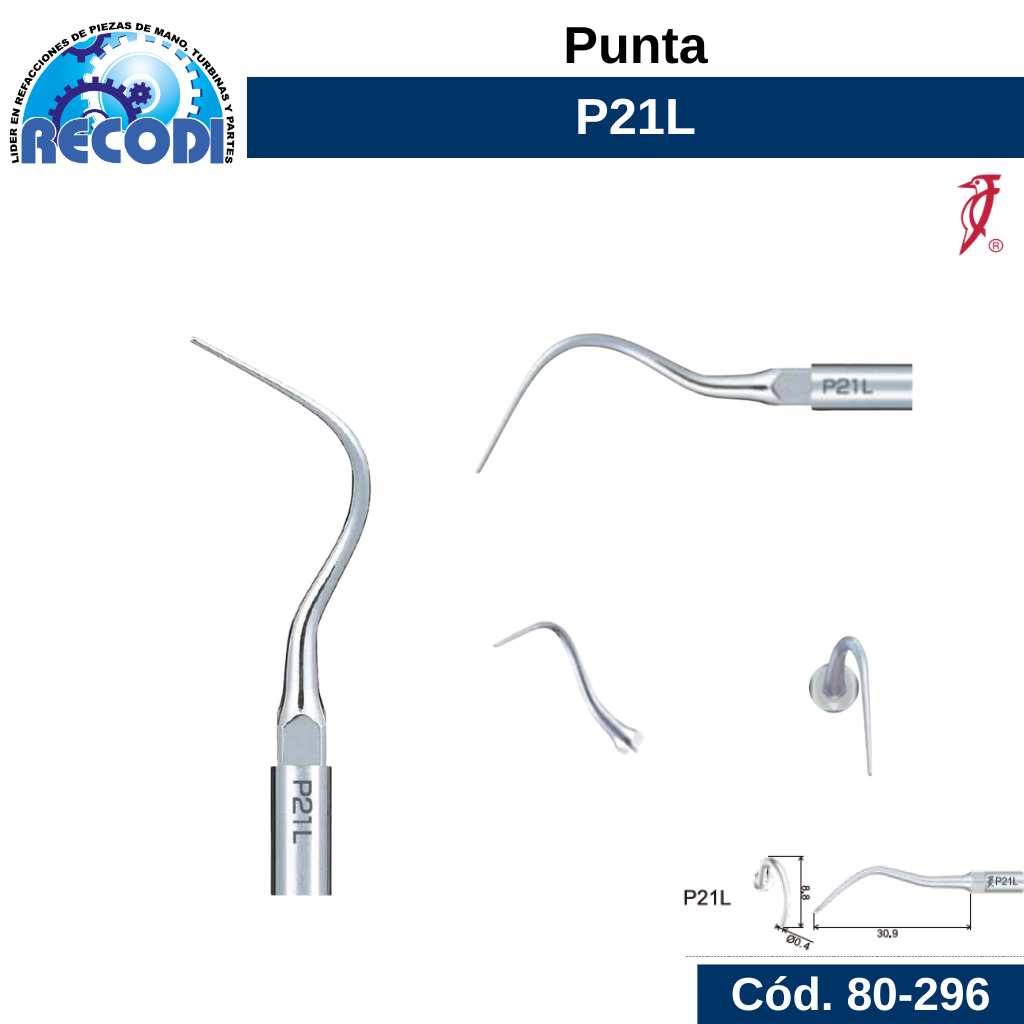 Punta P21L